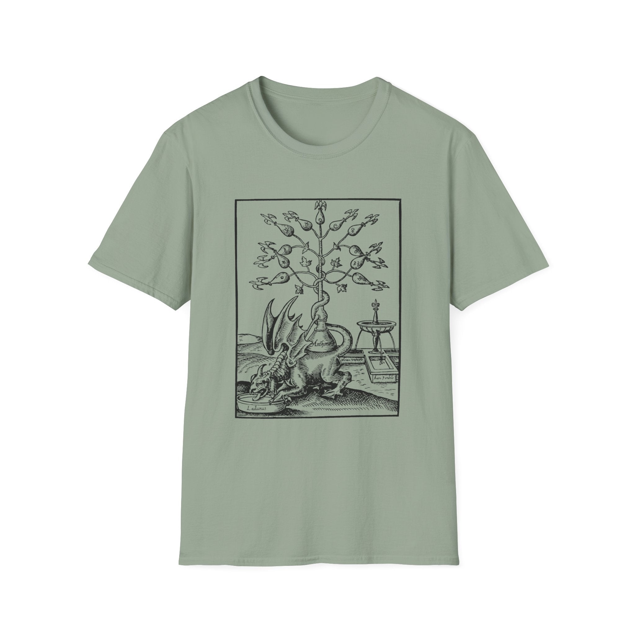 Alchemical Dragon T-Shirt – Vintage Occult Alchemy Graphic Tee