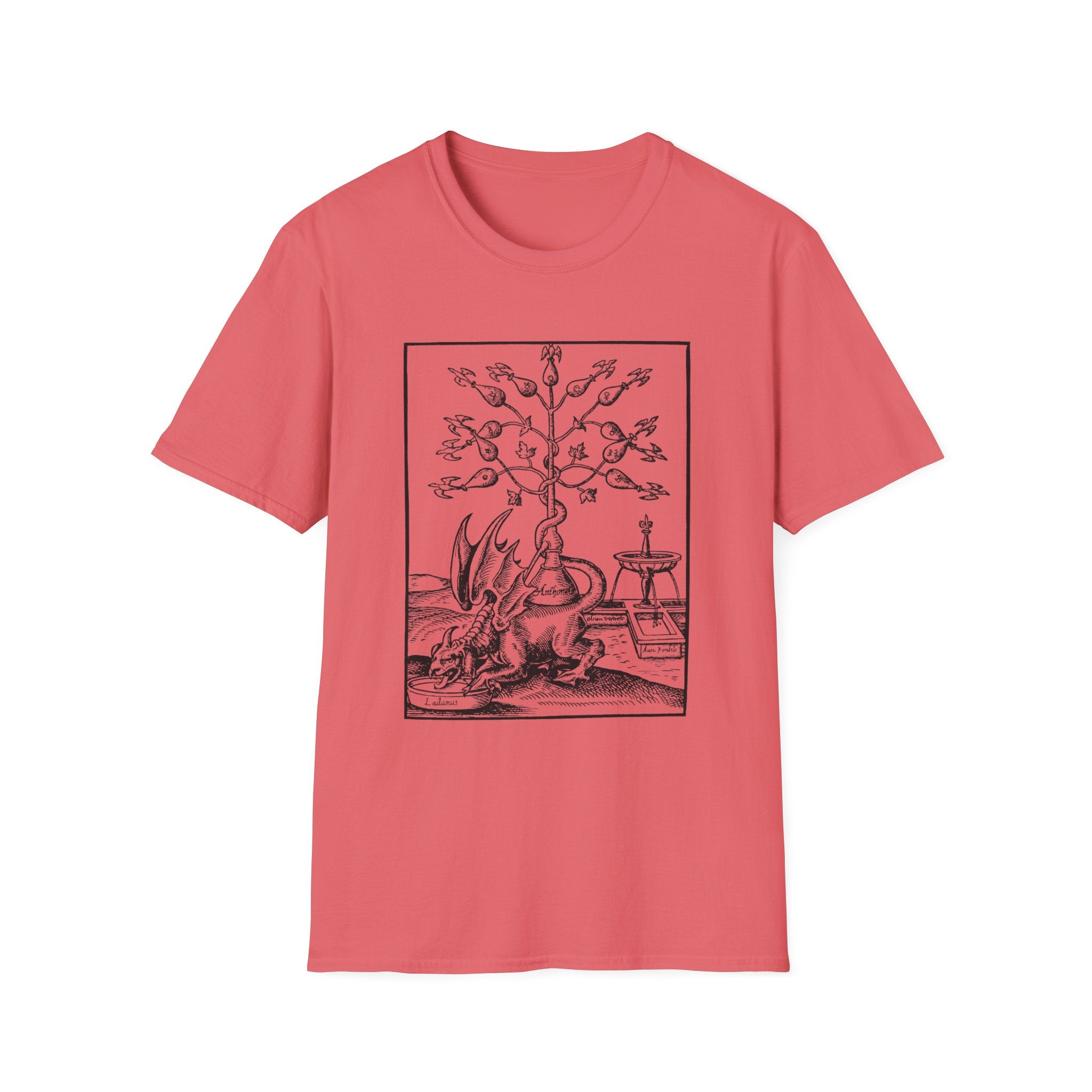 Alchemical Dragon T-Shirt – Vintage Occult Alchemy Graphic Tee