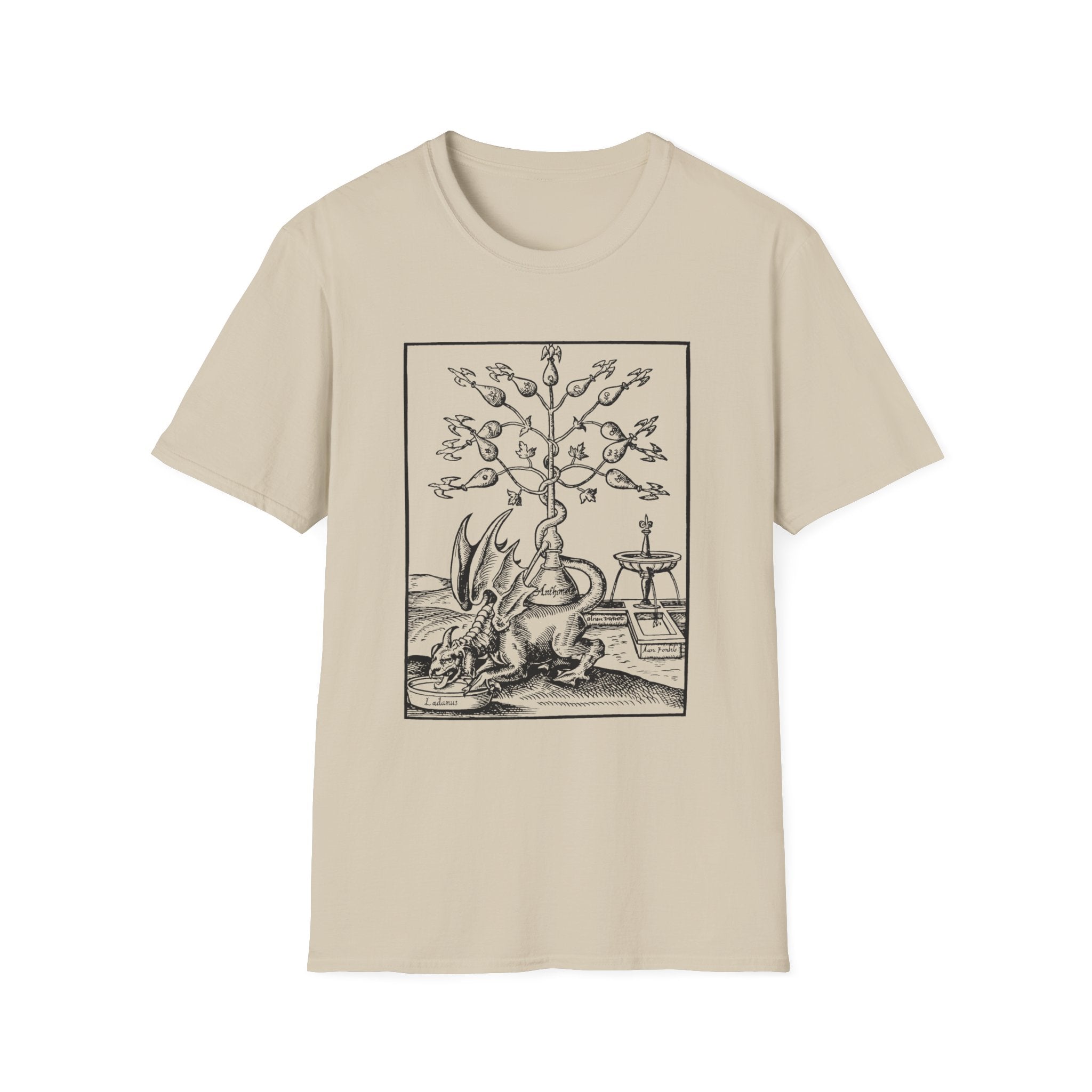 Alchemical Dragon T-Shirt – Vintage Occult Alchemy Graphic Tee
