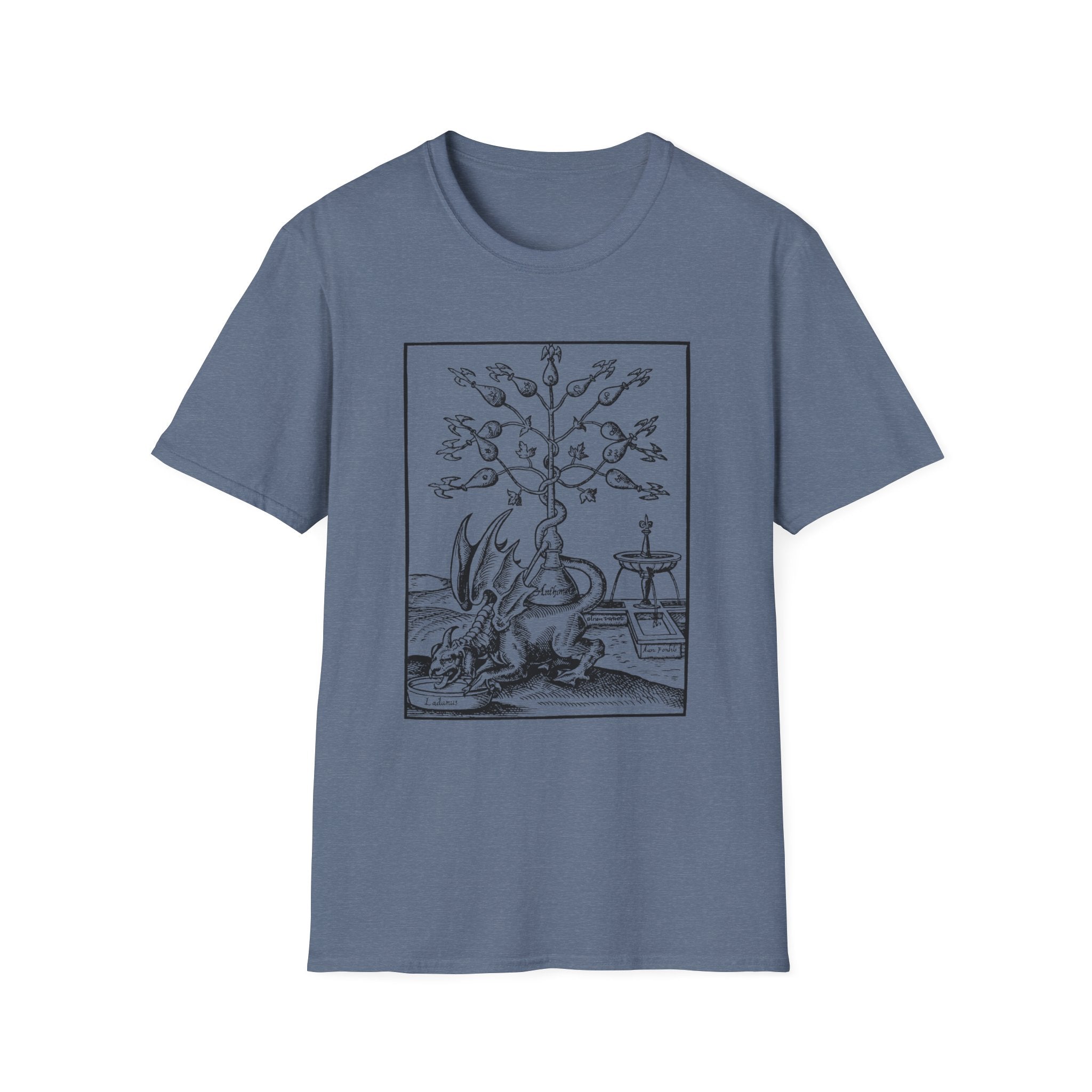 Alchemical Dragon T-Shirt – Vintage Occult Alchemy Graphic Tee