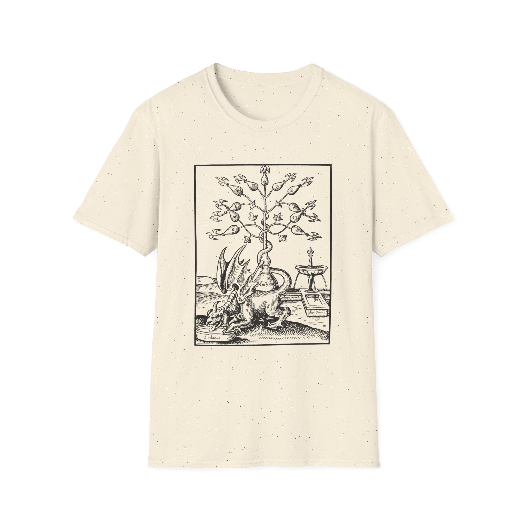 Alchemical Dragon T-Shirt – Vintage Occult Alchemy Graphic Tee