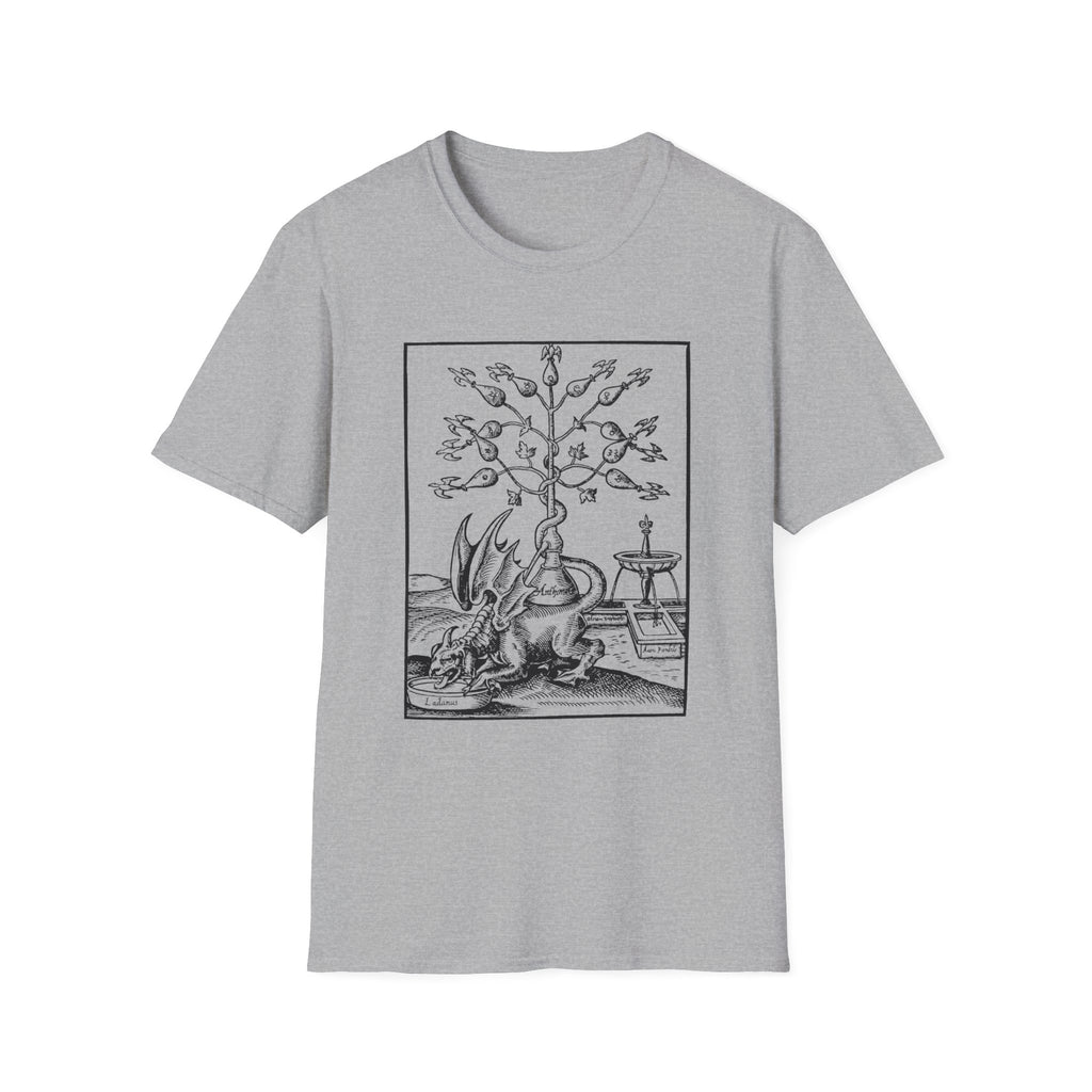 Alchemical Dragon T-Shirt – Vintage Occult Alchemy Graphic Tee