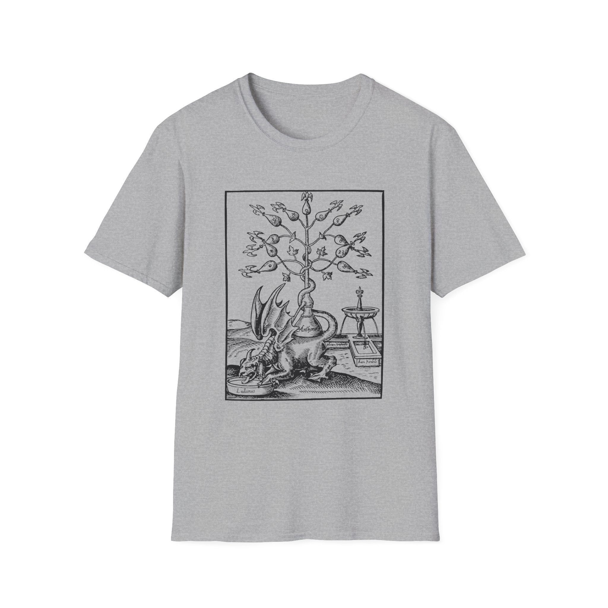 Alchemical Dragon T-Shirt – Vintage Occult Alchemy Graphic Tee