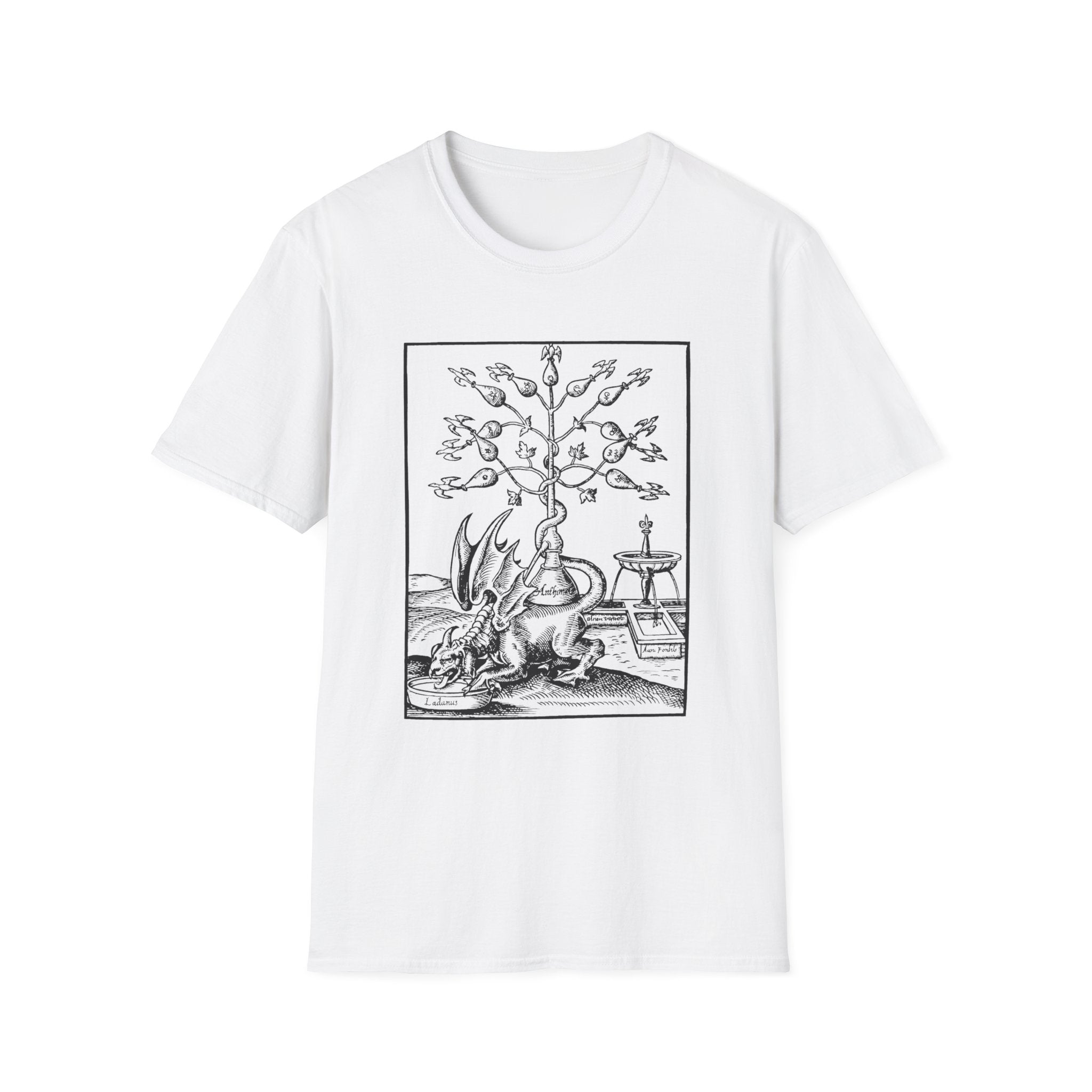 Alchemical Dragon T-Shirt – Vintage Occult Alchemy Graphic Tee