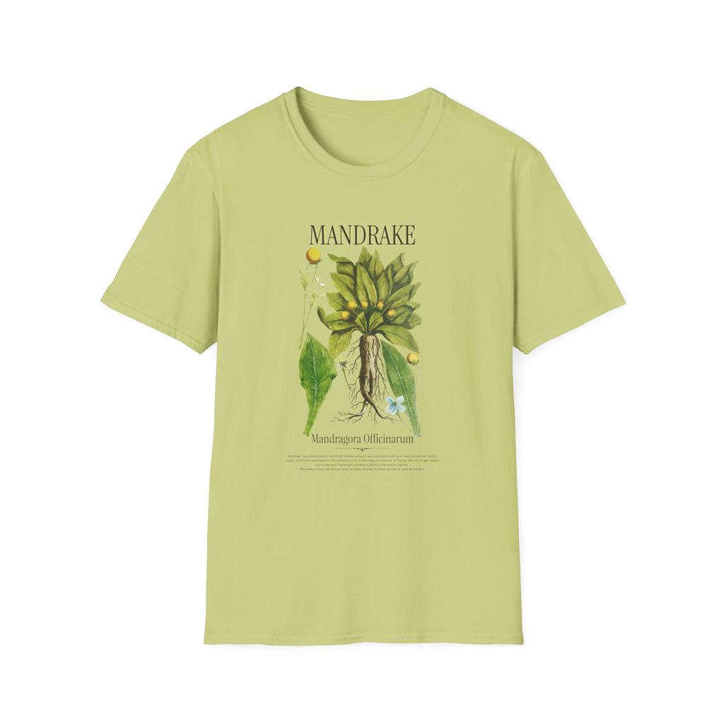 Mandrake Botanical T‑Shirt — Vintage Plant Illustration Tee