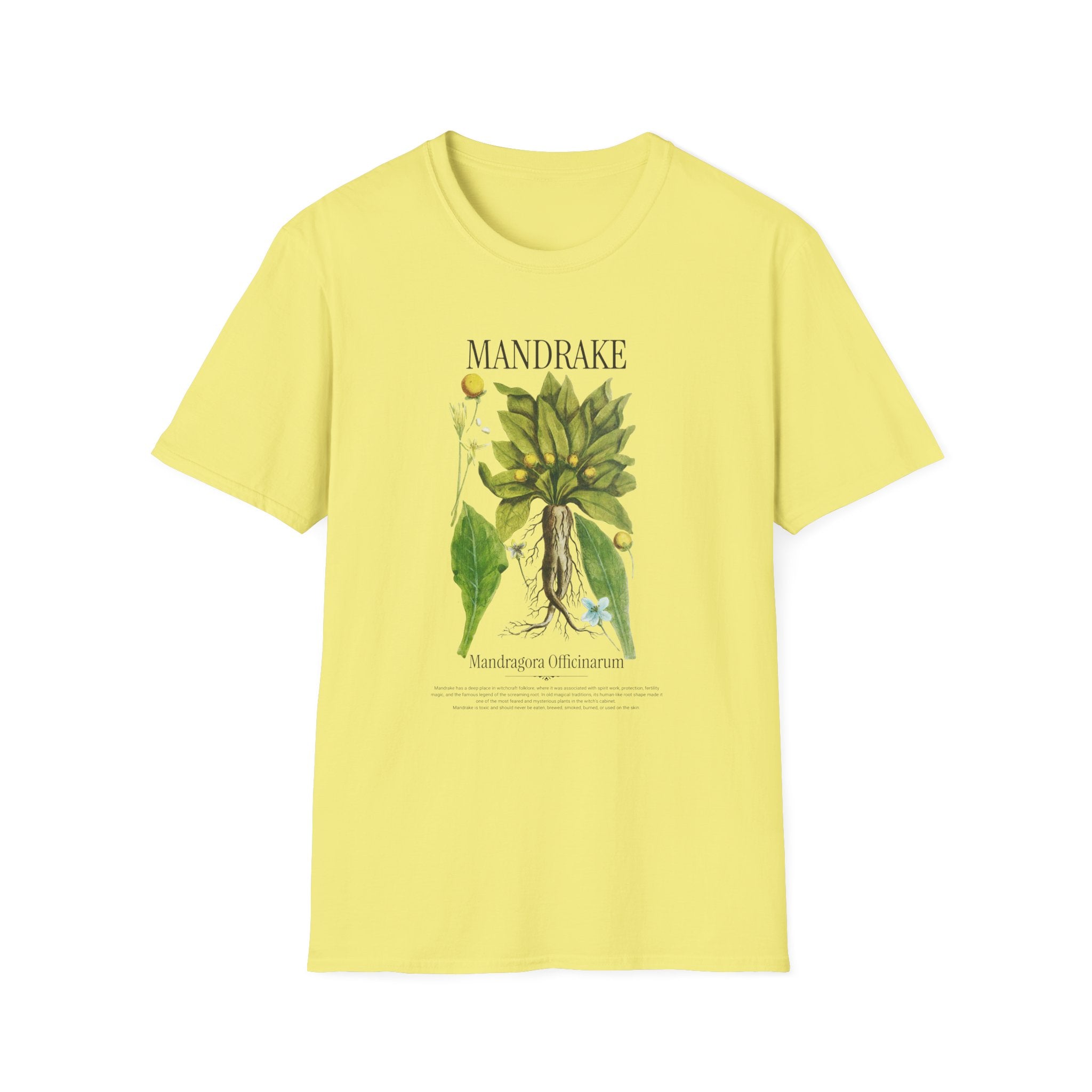 Mandrake Botanical T‑Shirt — Vintage Plant Illustration Tee