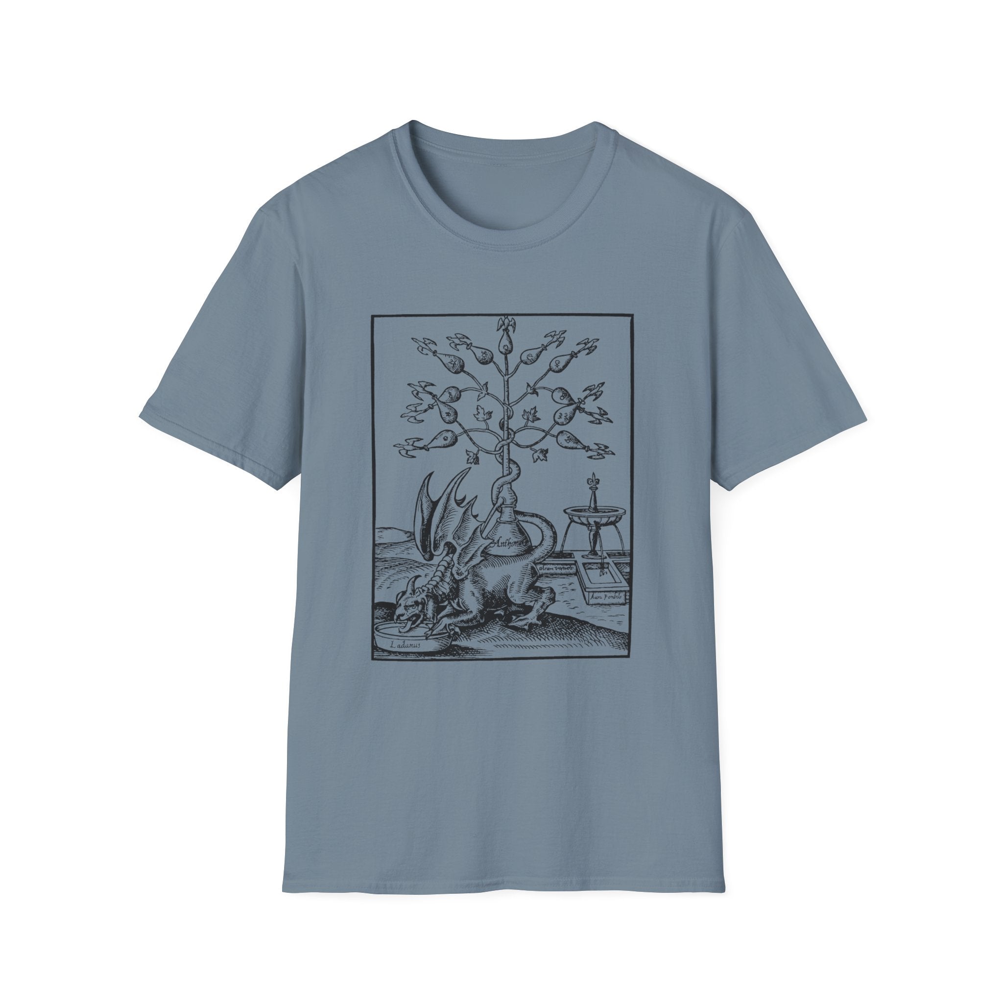 Alchemical Dragon T-Shirt – Vintage Occult Alchemy Graphic Tee